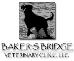 Bridge Veterinary Clinic