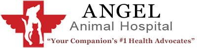 Angel Animal Hospital