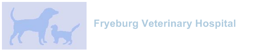 Fryeburg Veterinary Hospital