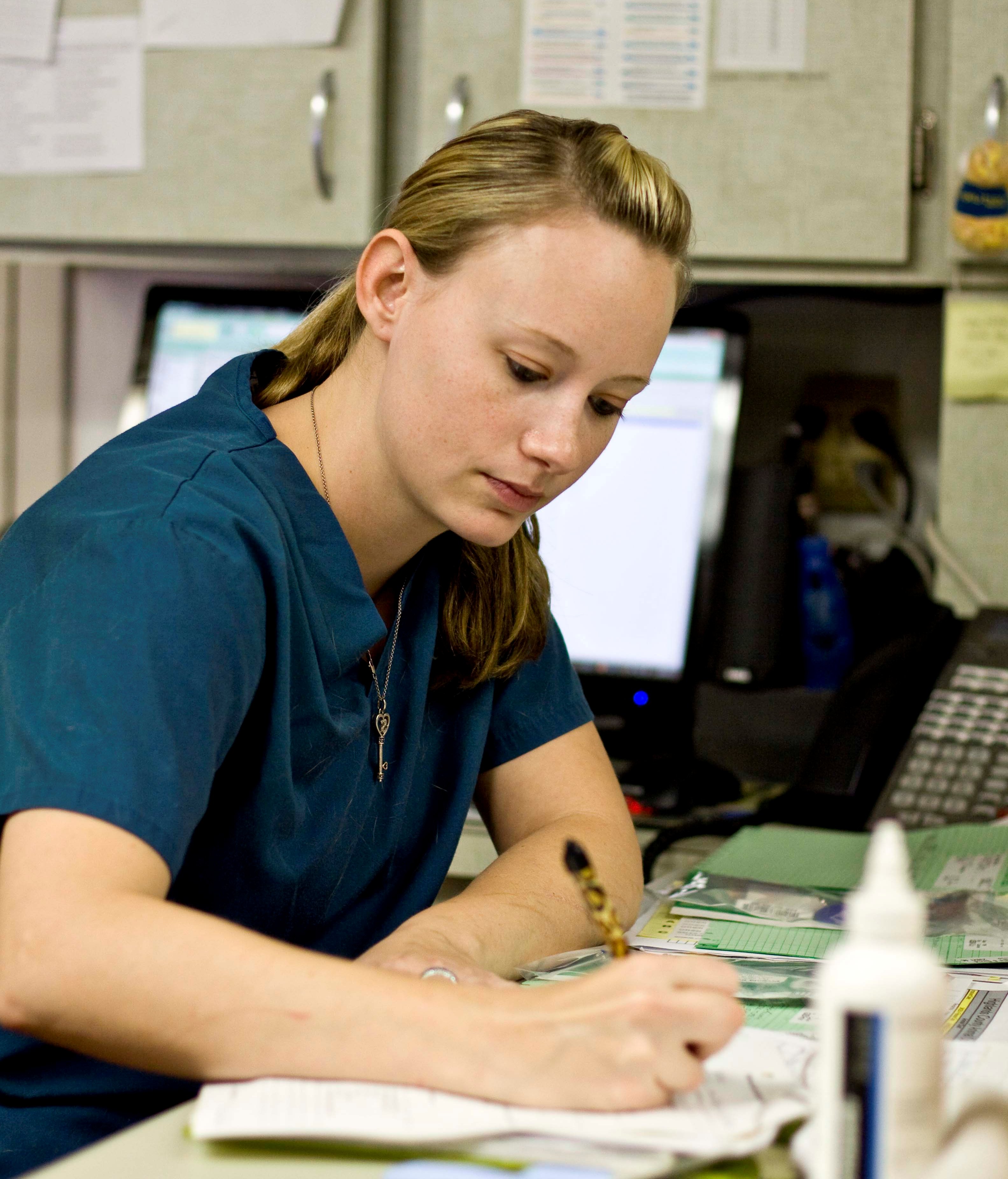 Sebring Animal Hospital Veterinarian