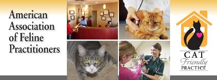 Heartland Animal Hospital