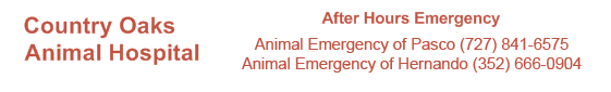 Country Oaks Animal Hospital