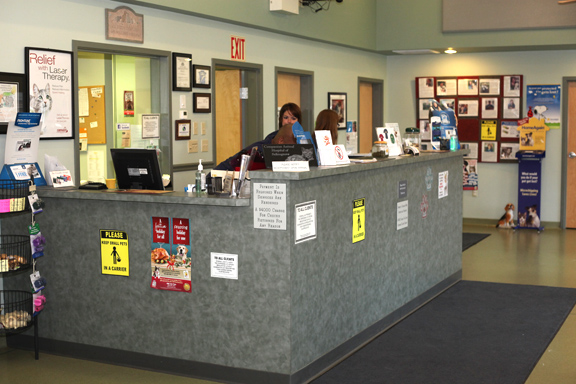 Spacious Reception Area