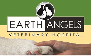 Earth Angels Veterinary Hospital