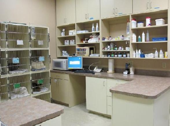 Treatment Area