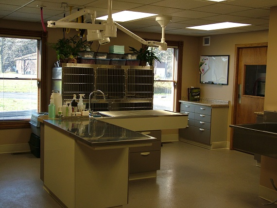 Treatment area