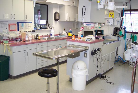 Treatment Area