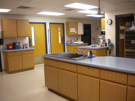 Treatment area