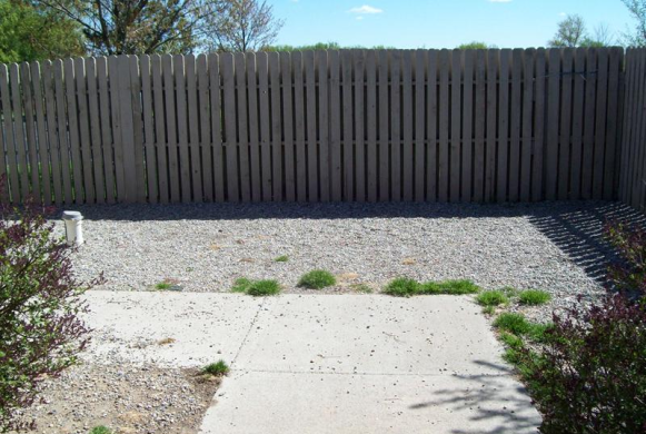 Enclosed outside area for dogs to enjoy themselves while staying with us