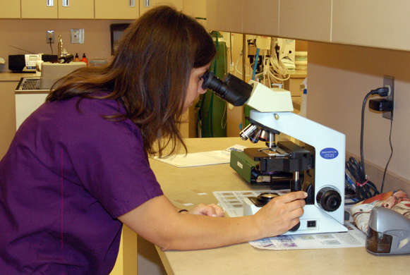 Heather viewing through the microscope.