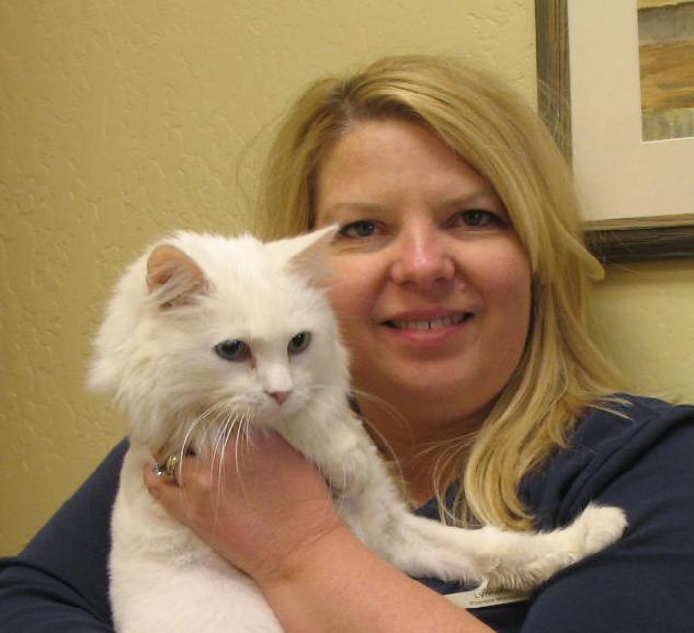 Caring Veterinarians in the Glendale, AZ, Area