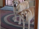 Sunny and Dolli