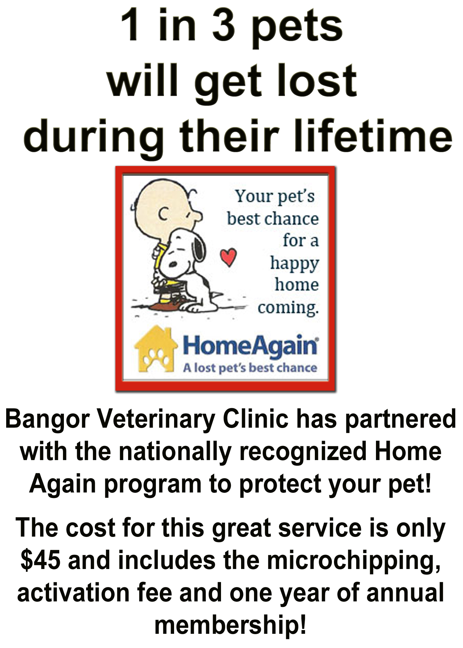 Bangor Veterinary Clinic, 59783 M 43 Bangor, MI 49013