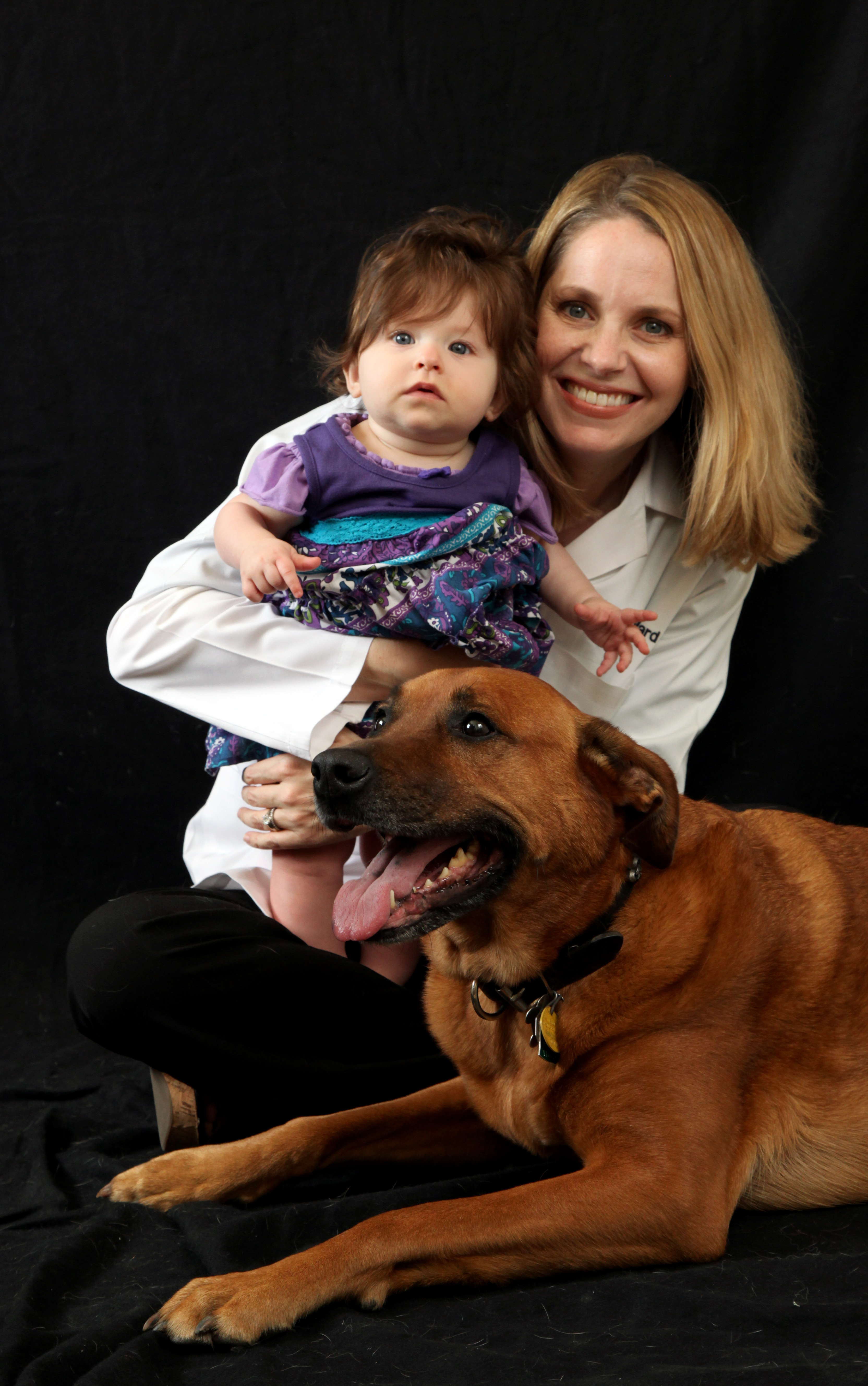 Marlowe A Ward , DVM
