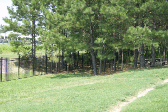 Walking and Playing Area