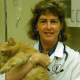 Dr. Laurie Schultz