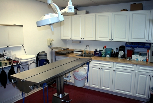 Surgery Room 1