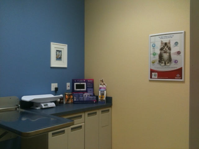 Feline & Small Mammal Exam Room