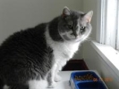 Molly