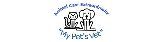 Animal Care Extraordinaire