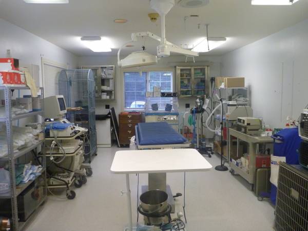 Surgery Room