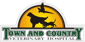 Town & Country Veterinary Hospital