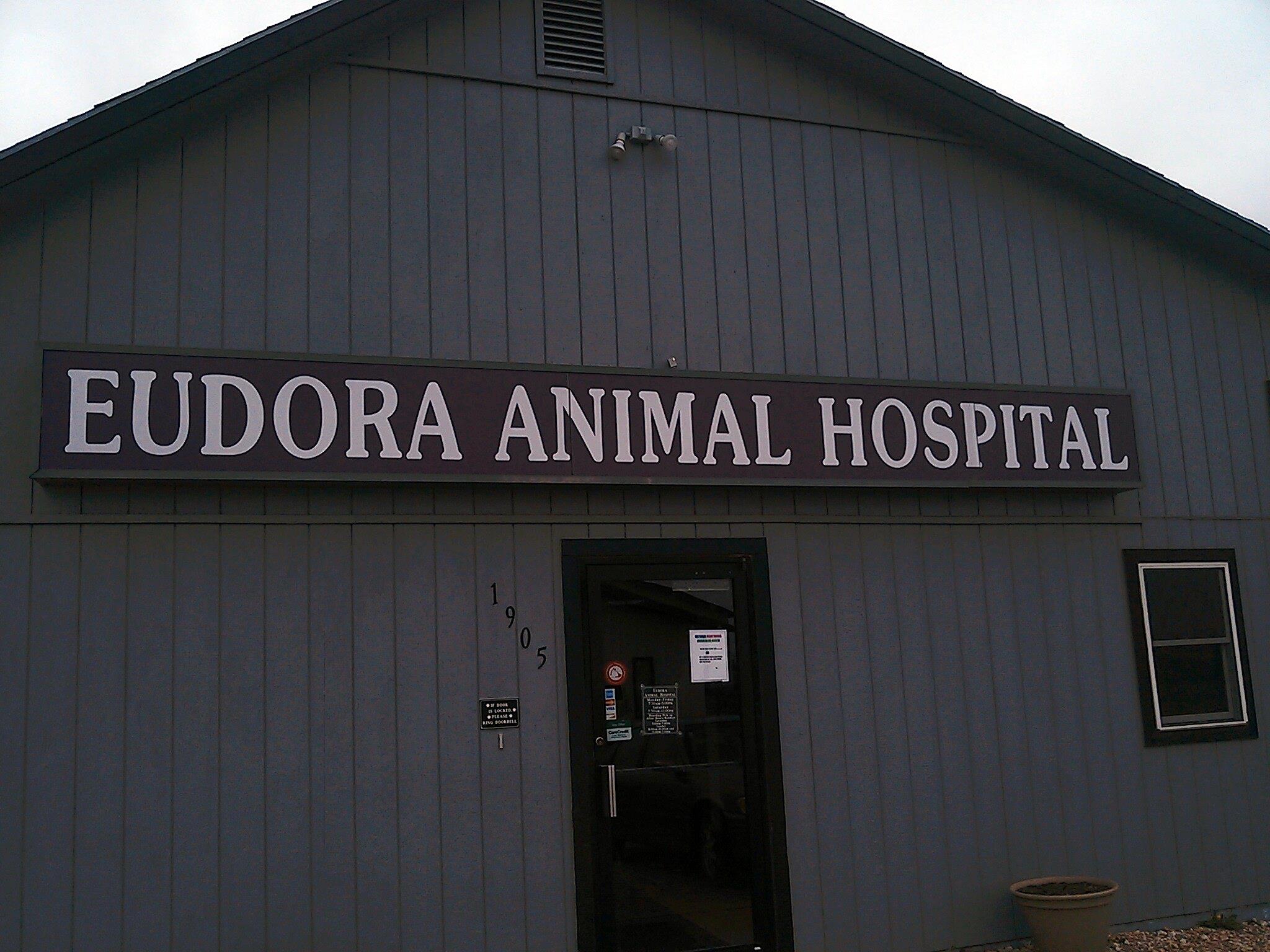 Eudora Animal Hospital Veterinarian