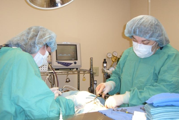 Surgical Suite