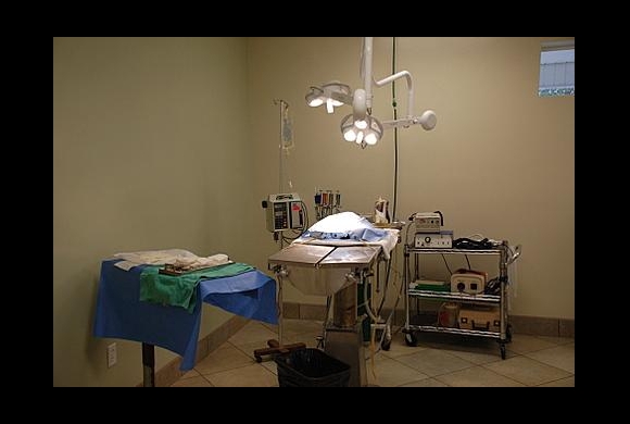Surgery Suite