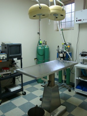 The Cat Hospital of Fairfax, Inc.