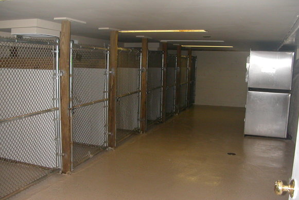 Our Kennel