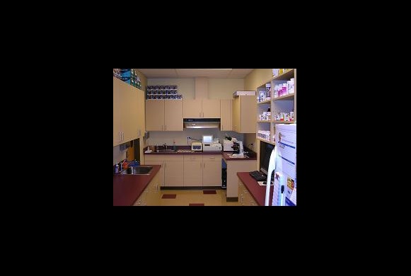Pharmacy & Lab Area