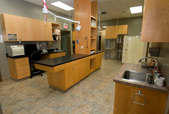 Treatment Area