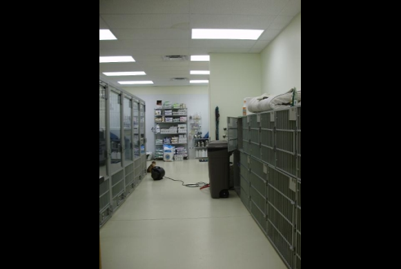 Kennels