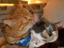 Tucker and Sophie