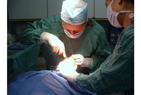 Dr. Osbourne performing a Cruciate Ligament Surgery