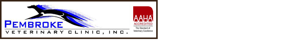 Pembroke Veterinary Clinic Team Members