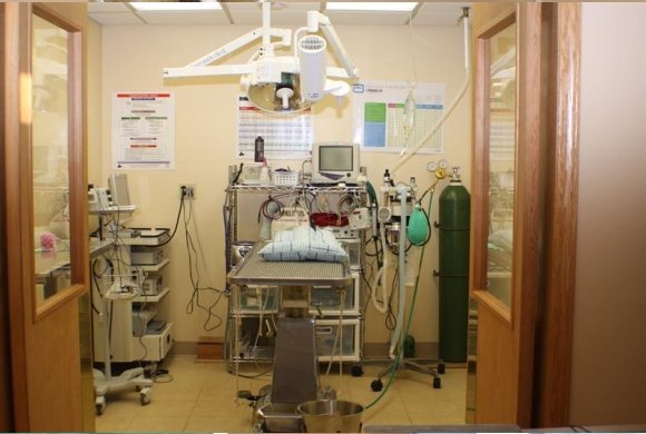 Surgical Suite