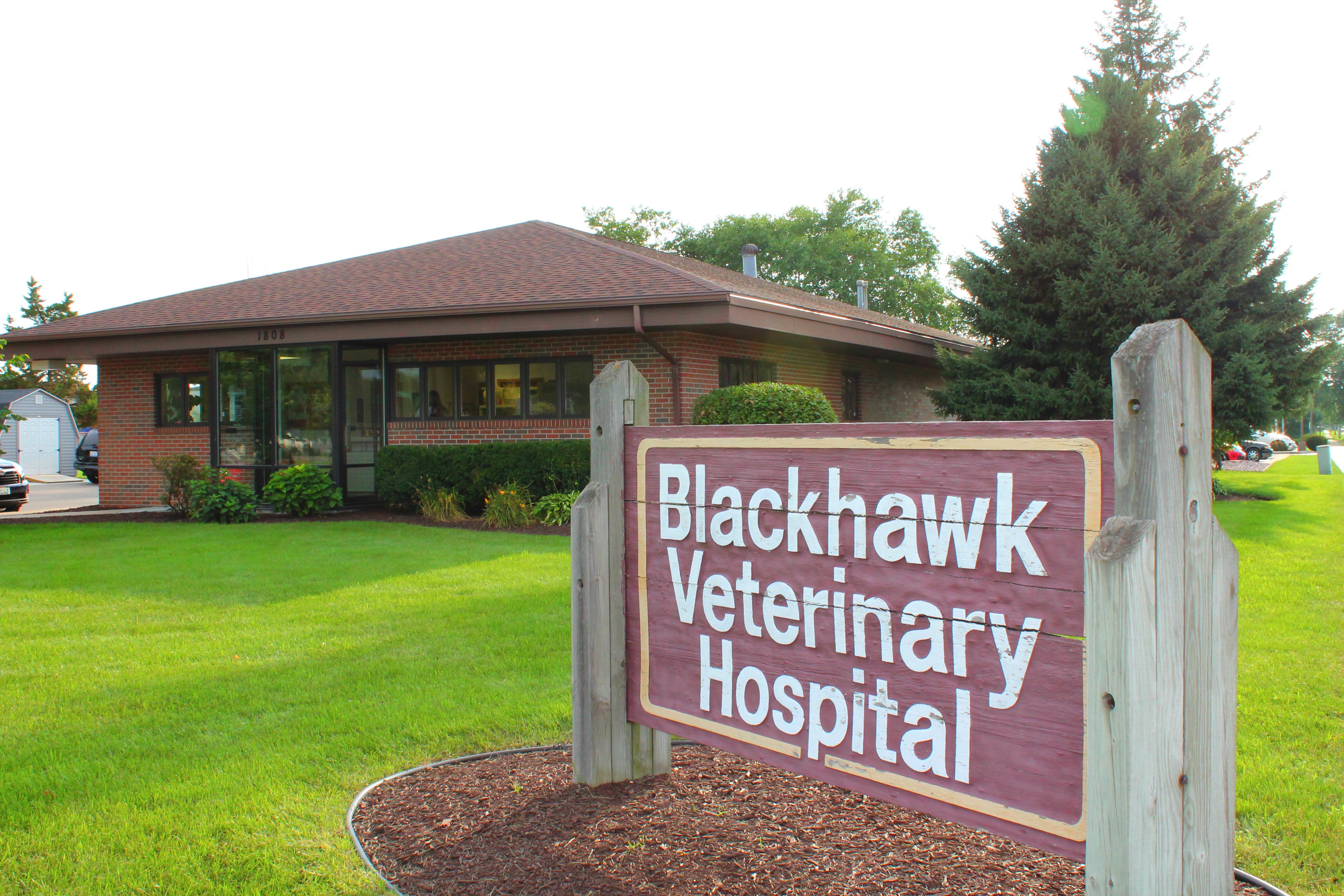 Blackhawk Veterinary Hospital LTD
