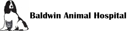 Baldwin Animal Hospital