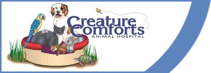 Creature Comforts Animal Hospital