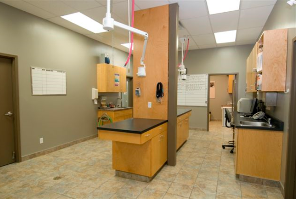 Treatment Area