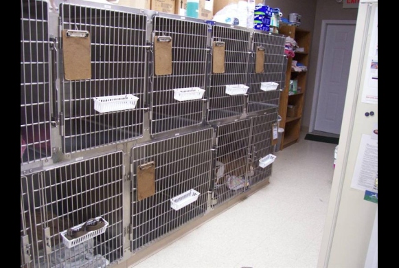 Hospital ward A