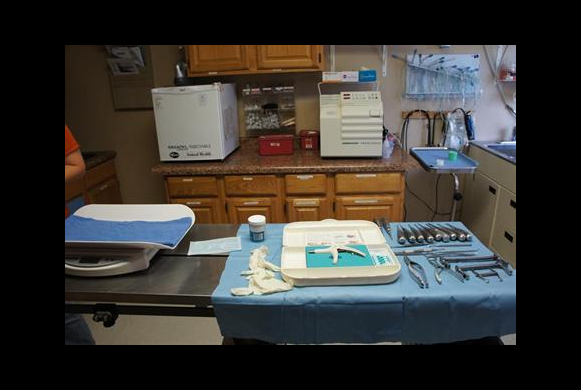 Surgery Prep Area