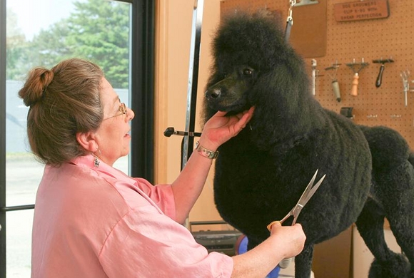 The Grooming Room