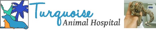 Turquoise Animal Hospital