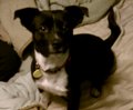 Zoe
