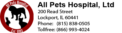 All Pets Hospital