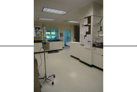 Treatment Area