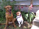 Melany & Miller